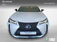 Lexus UX BUSINESS