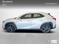 Lexus UX BUSINESS