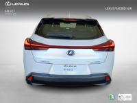 Lexus UX BUSINESS