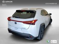 Lexus UX BUSINESS