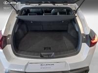 Lexus UX BUSINESS