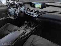 Lexus UX BUSINESS