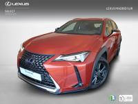 Lexus UX BUSINESS