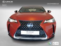 Lexus UX BUSINESS