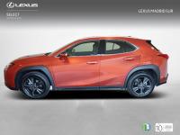 Lexus UX BUSINESS