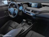 Lexus UX BUSINESS