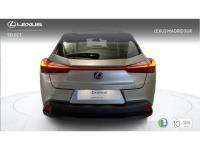 Lexus UX BUSINESS