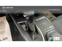 Lexus UX BUSINESS
