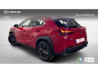 Lexus UX BUSINESS