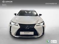 Lexus UX BUSINESS NAVIGATION