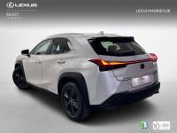 Lexus UX BUSINESS NAVIGATION