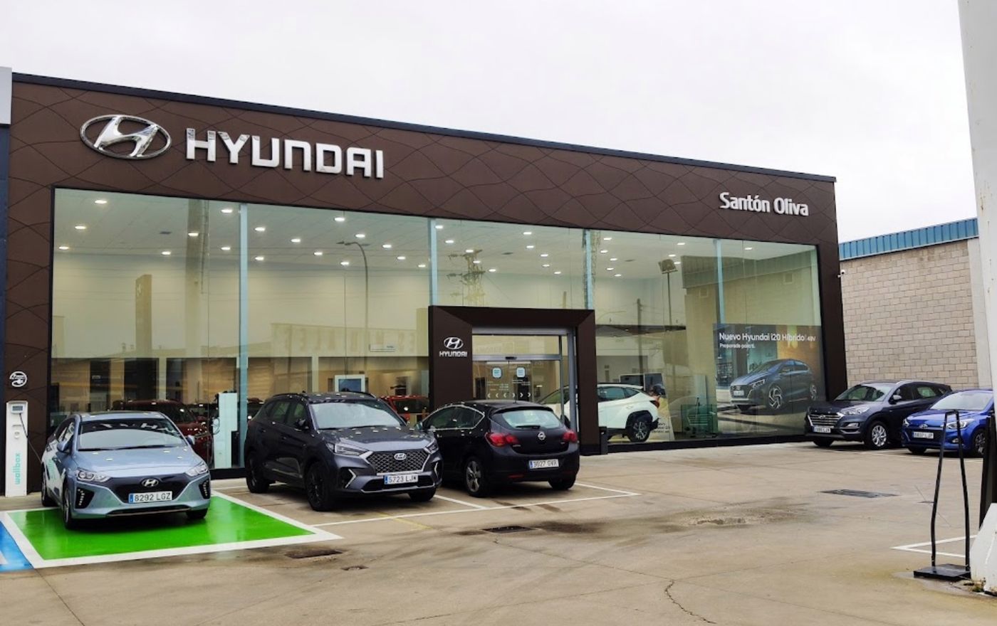 SANTÓN OLIVA - HYUNDAI 1